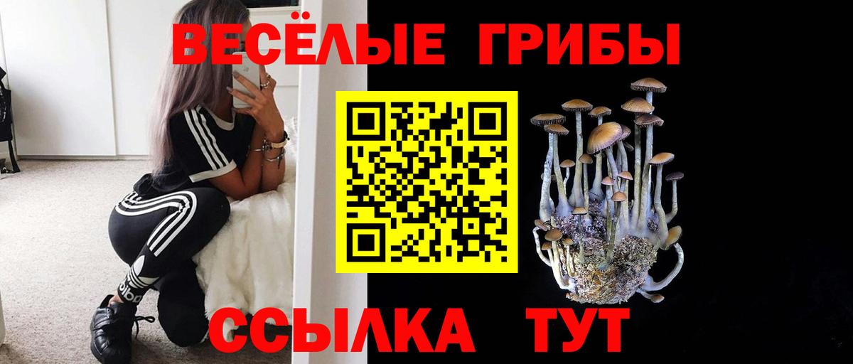 Псилоцибиновые грибы Psilocybine cubensis Ипатово