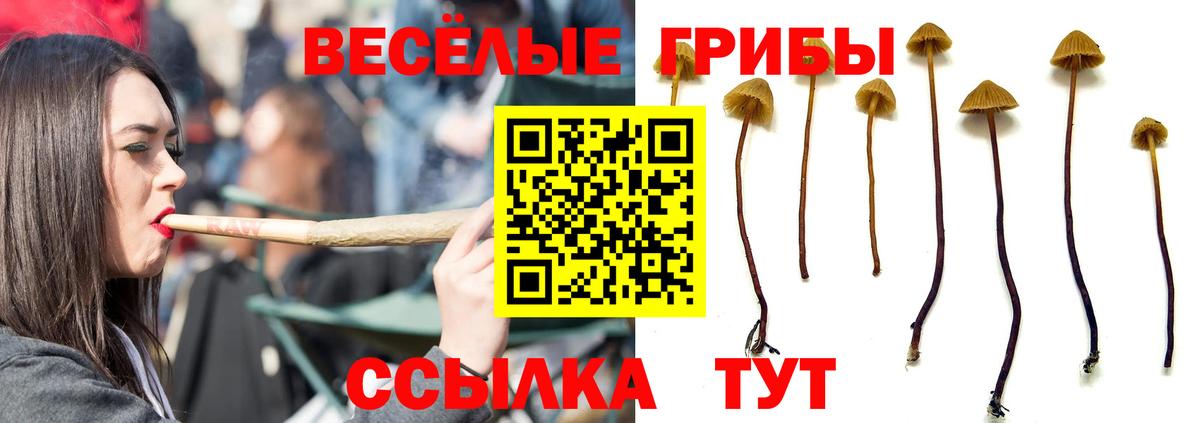 Ипатово  купить   Вход с VPN  Псилоцибиновые грибы мицелий 